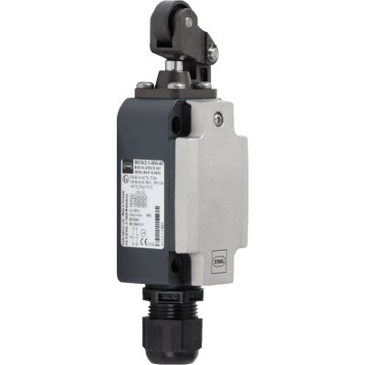 Metal Position Switch Series 8074/2